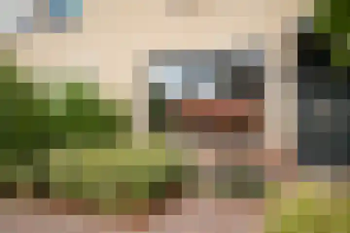 Sterappel 51 Geldermalsen thumbnail 5