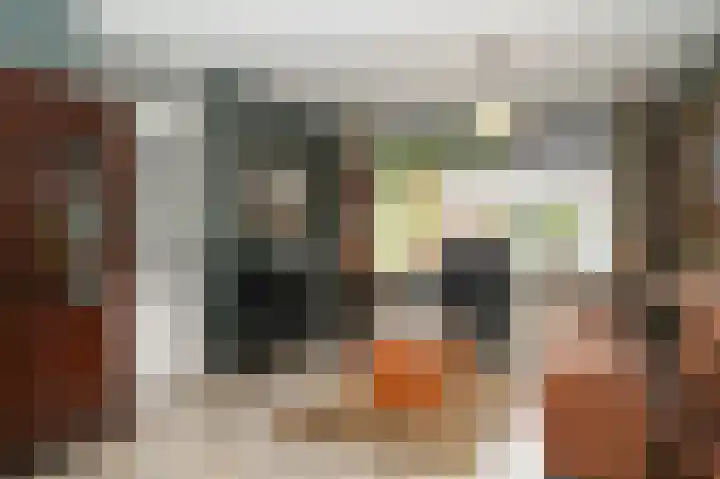 Sterappel 51 Geldermalsen thumbnail 7