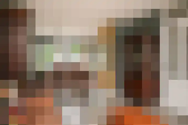 Sterappel 51 Geldermalsen thumbnail 9