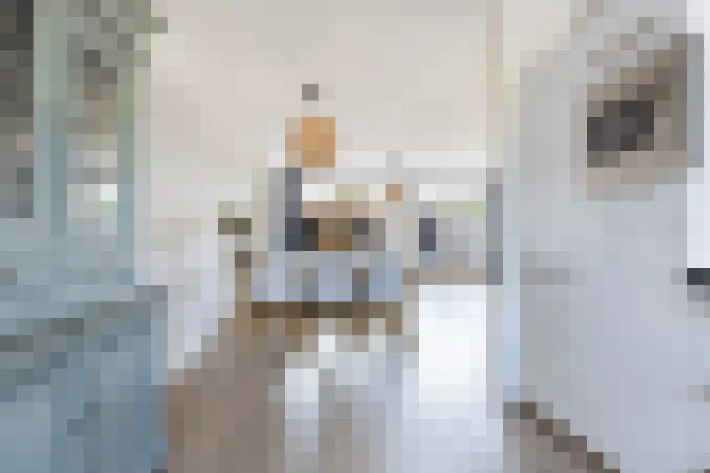 Sterappel 54 Barneveld thumbnail 14