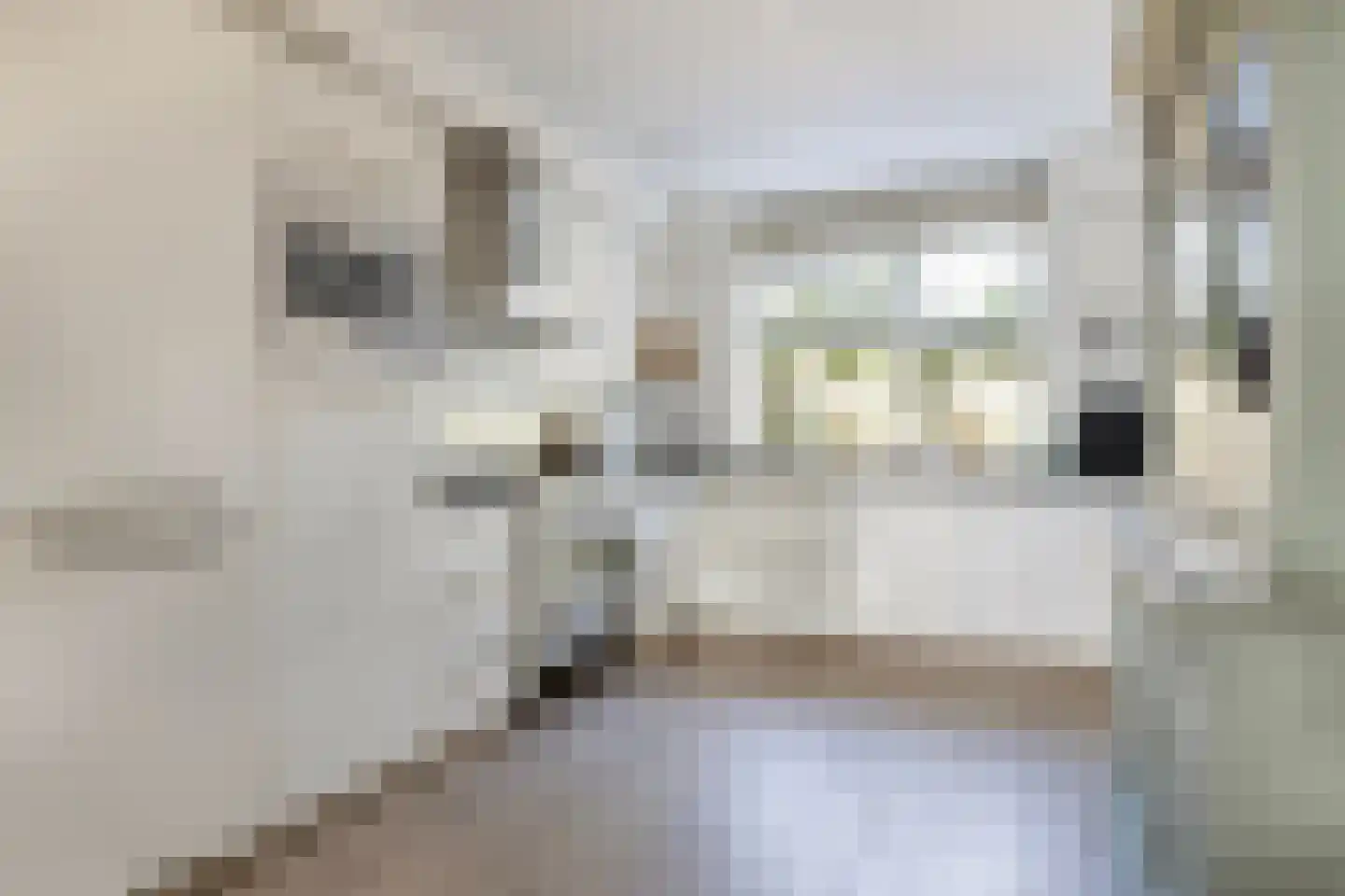 Sterappel 54 Barneveld thumbnail 16