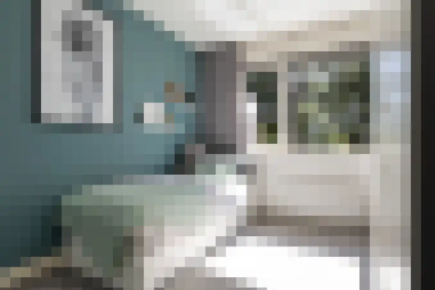 Sterappel 54 Barneveld thumbnail 21