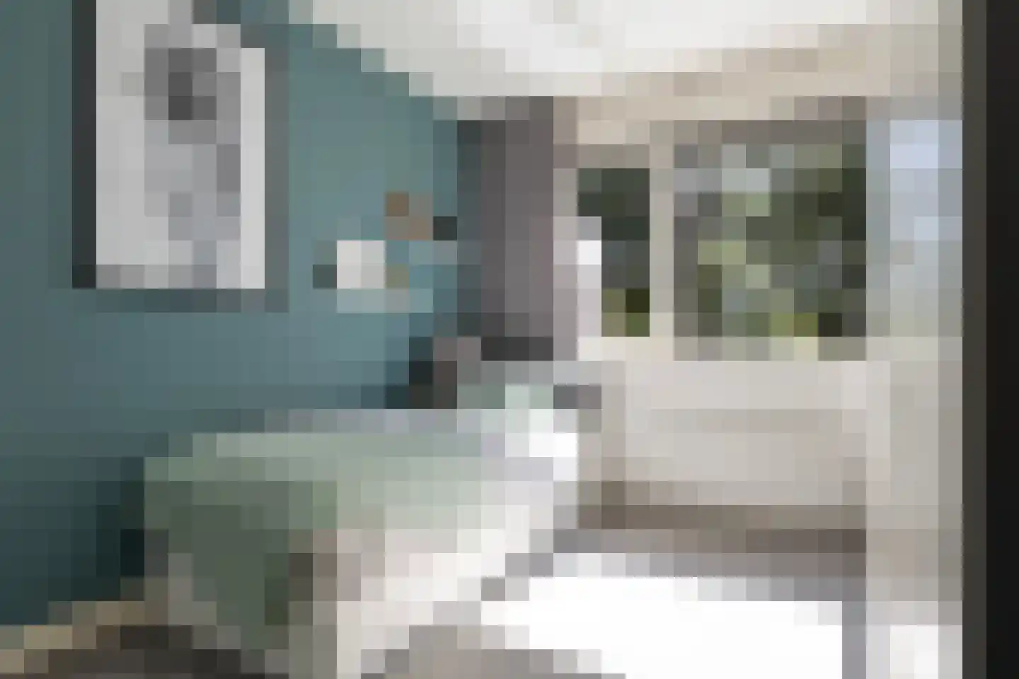 Sterappel 54 Barneveld thumbnail 22