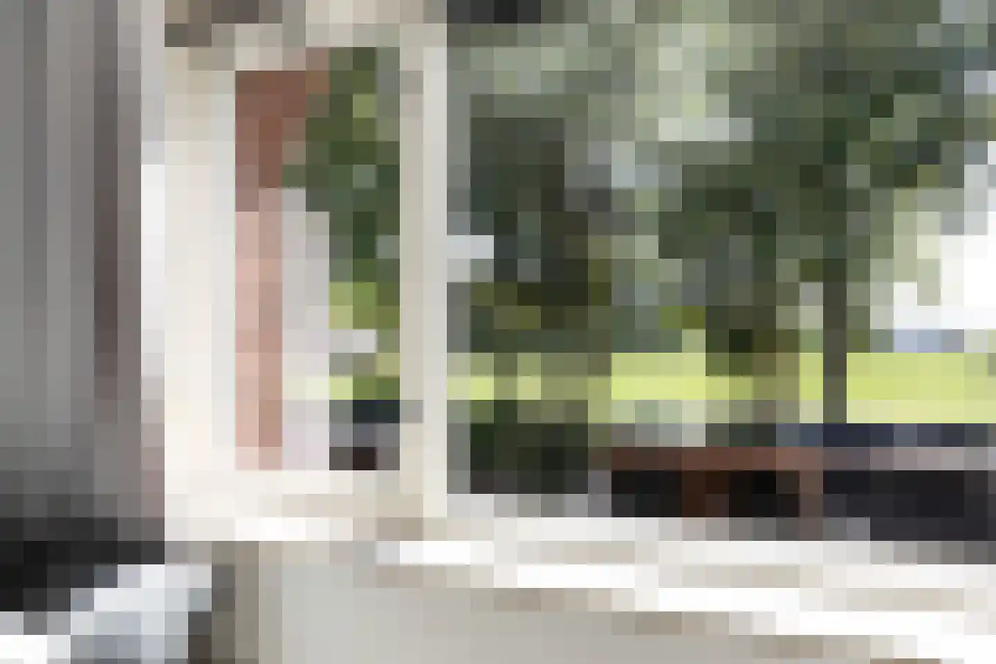 Sterappel 54 Barneveld thumbnail 22