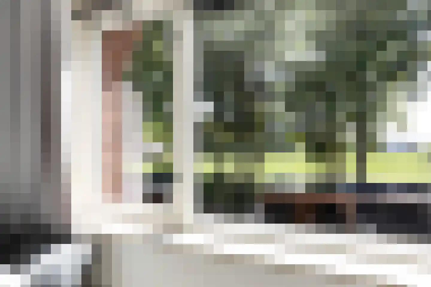 Sterappel 54 Barneveld thumbnail 23