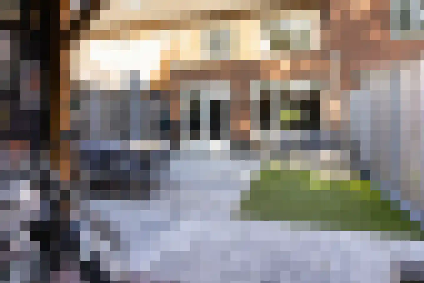 Sterappel 54 Barneveld thumbnail 33