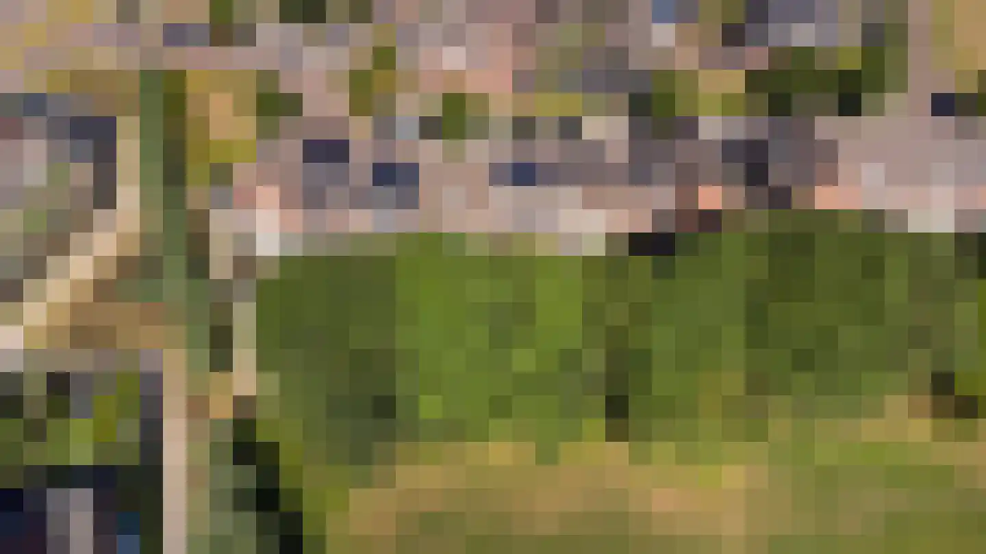 Sterappel 54 Barneveld thumbnail 36