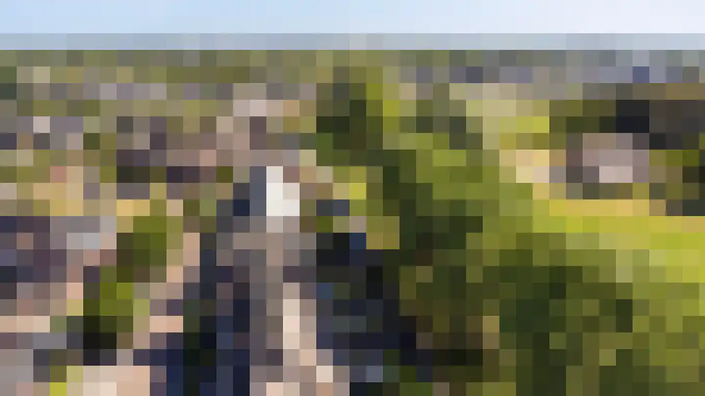 Sterappel 54 Barneveld thumbnail 37
