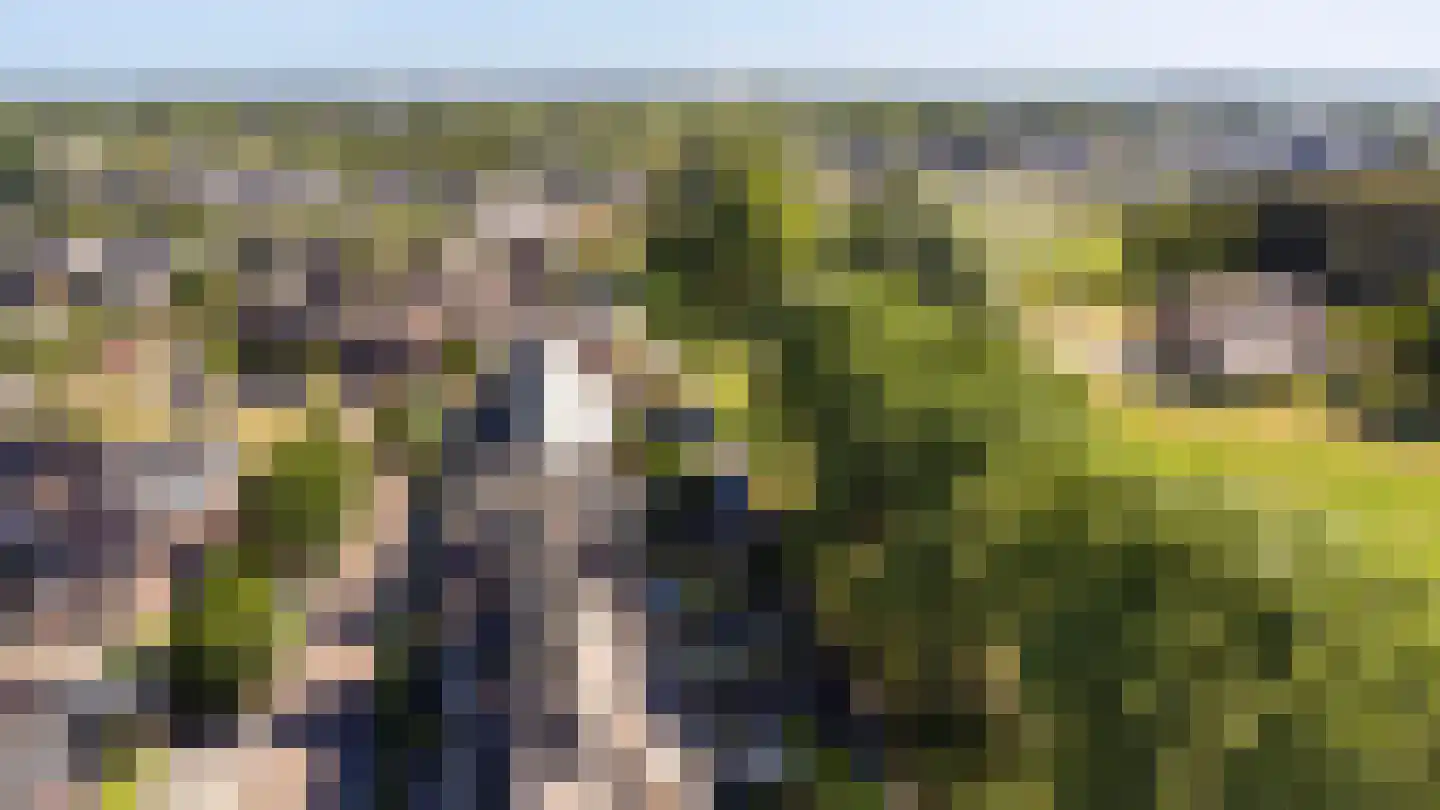 Sterappel 54 Barneveld thumbnail 38