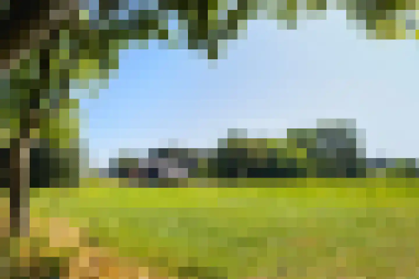 Sterappel 54 Barneveld thumbnail 39