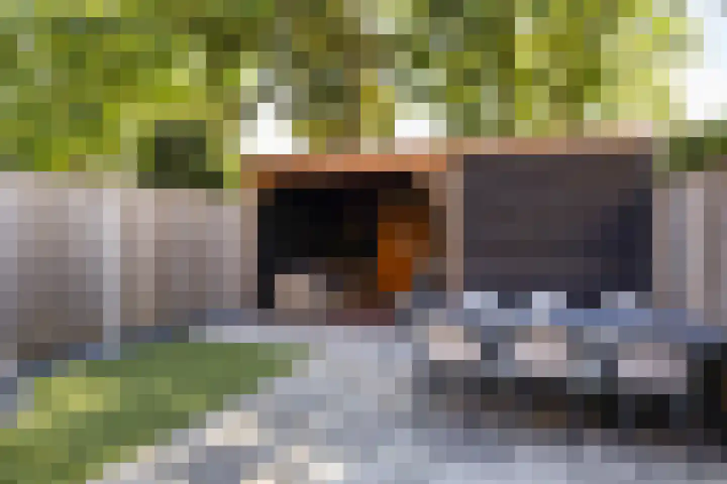 Sterappel 54 Barneveld thumbnail 4