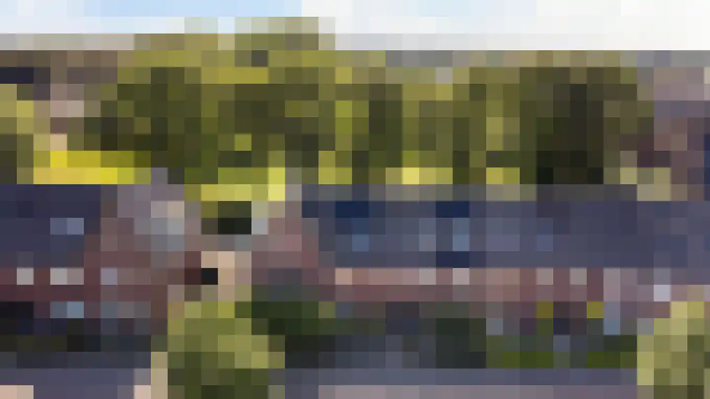 Sterappel 54 Barneveld thumbnail 6