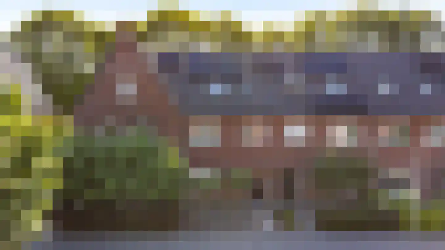 Sterappel 54 Barneveld thumbnail 7