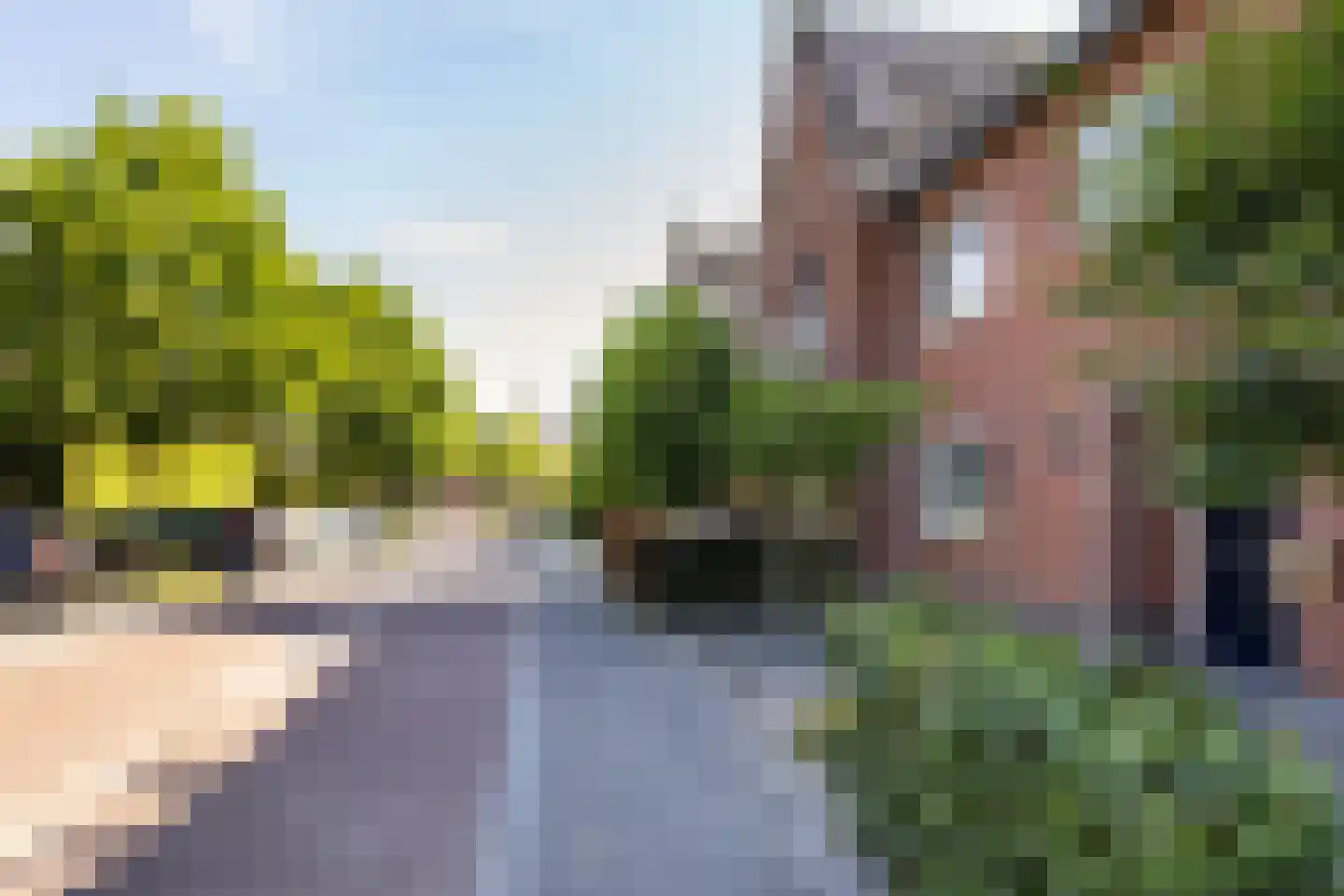 Sterappel 54 Barneveld thumbnail 8