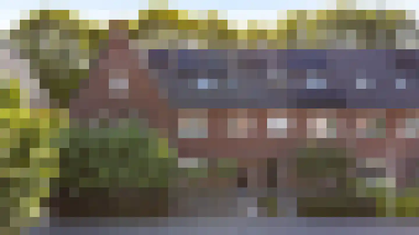 Sterappel 54 Barneveld thumbnail 8