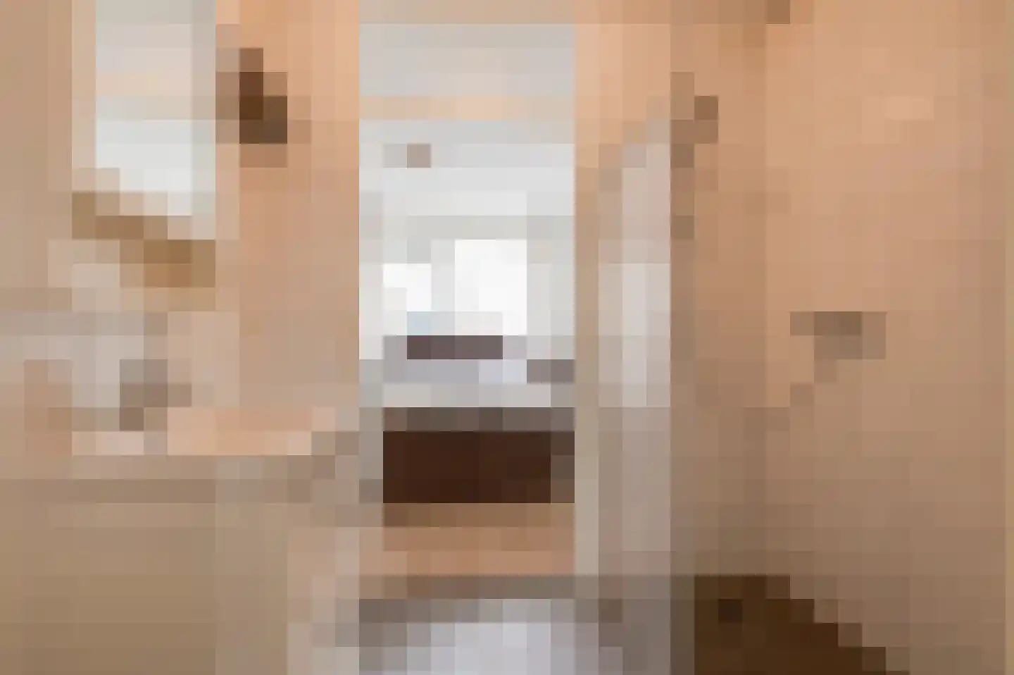 Sterappel 57 Geldermalsen thumbnail 13