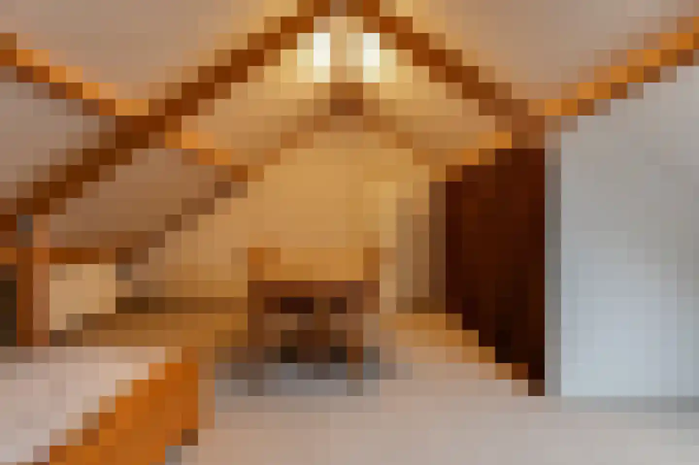 Sterappel 57 Geldermalsen thumbnail 17