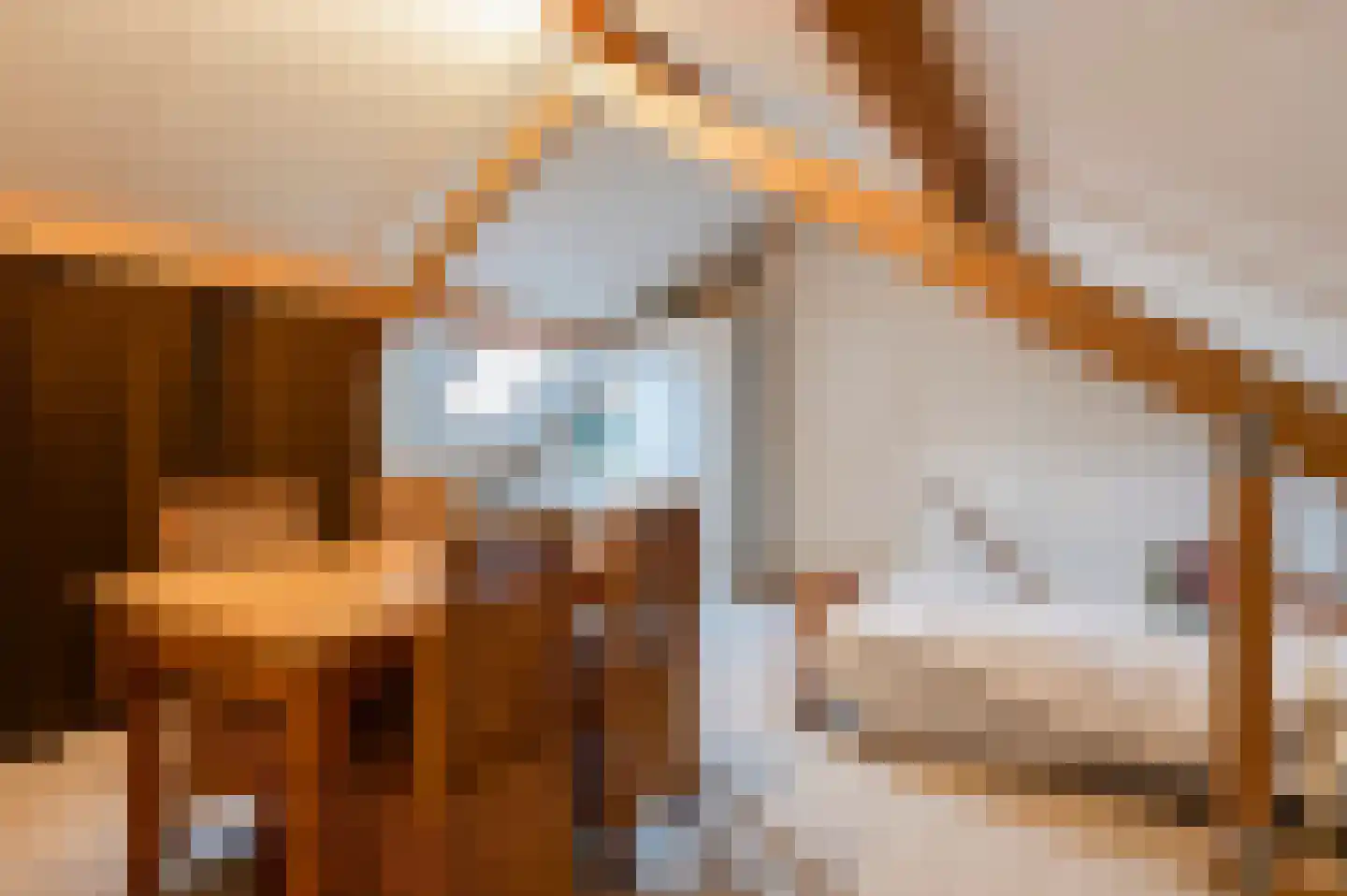 Sterappel 57 Geldermalsen thumbnail 18