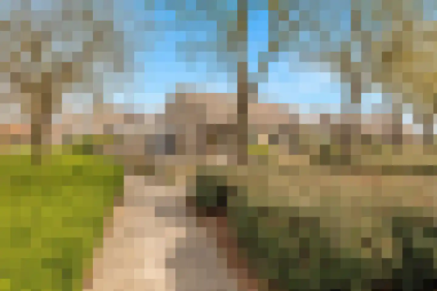 Sterappel 57 Geldermalsen thumbnail 23