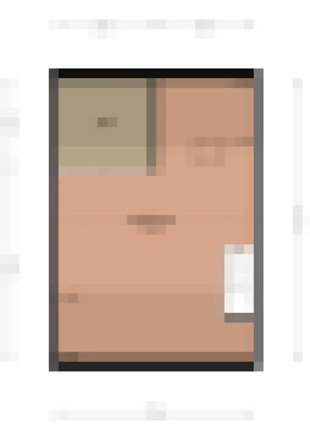 Sterappel 57 Geldermalsen thumbnail 31