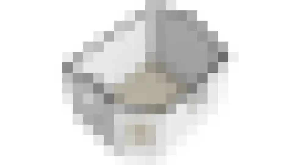 Sterappel 57 Geldermalsen thumbnail 35