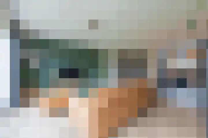 Sterappel 6 Alphen thumbnail 12
