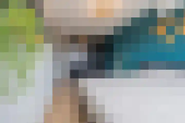 Sterappel 6 Alphen thumbnail 32
