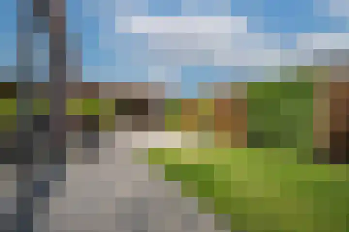 Sterappel 6 Alphen thumbnail 4