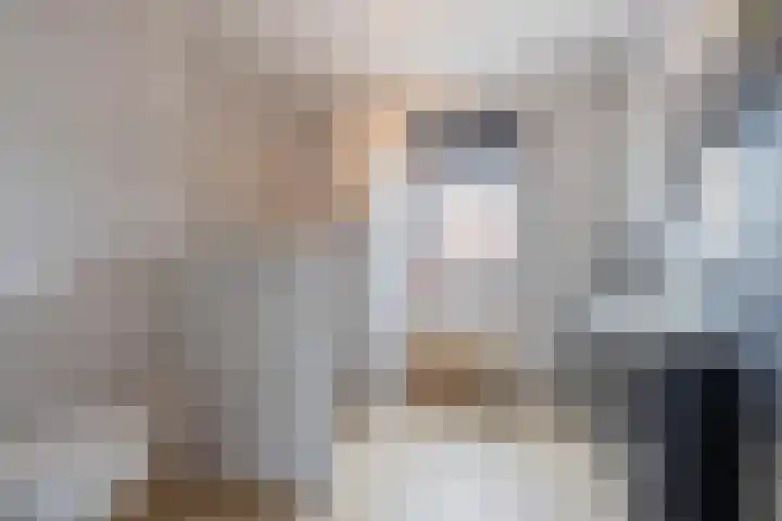 Sterappel 6 Alphen thumbnail 42