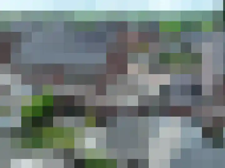 Sterappel 6 Alphen thumbnail 50