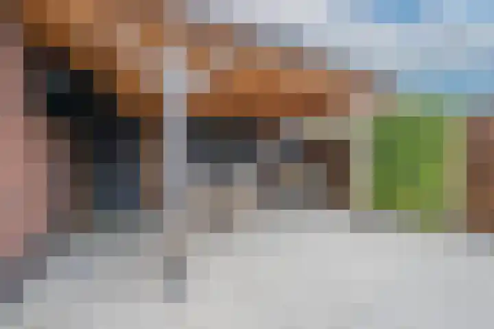 Sterappel 6 Alphen thumbnail 55