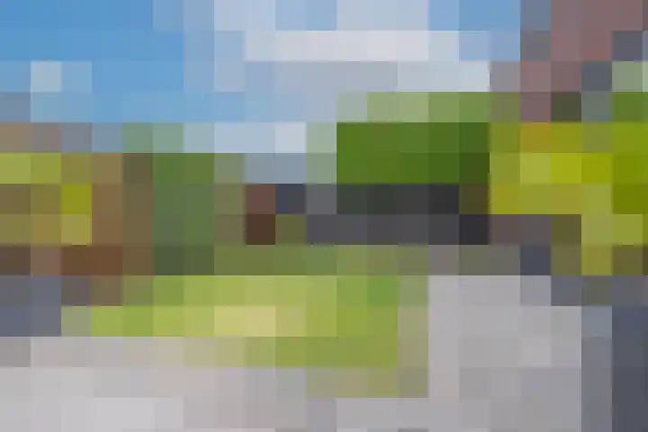 Sterappel 6 Alphen thumbnail 56