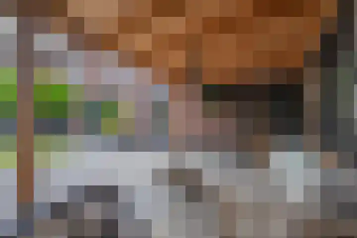 Sterappel 6 Alphen thumbnail 59