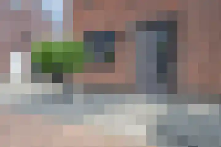 Sterappel 6 Alphen thumbnail 6