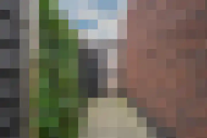 Sterappel 6 Alphen thumbnail 61