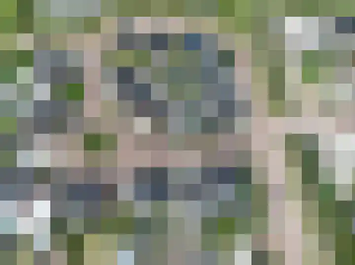Sterappel 6 Alphen thumbnail 66