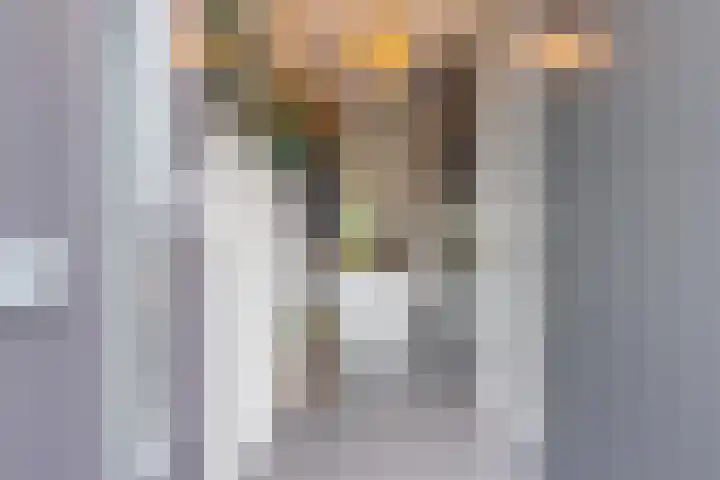 Sterappel 6 Alphen thumbnail 7