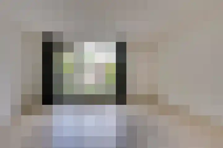 Sterappel 6 Uden thumbnail 10