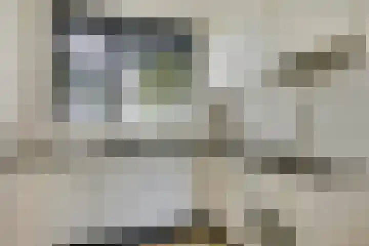 Sterappel 6 Uden thumbnail 14