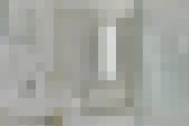Sterappel 6 Uden thumbnail 19