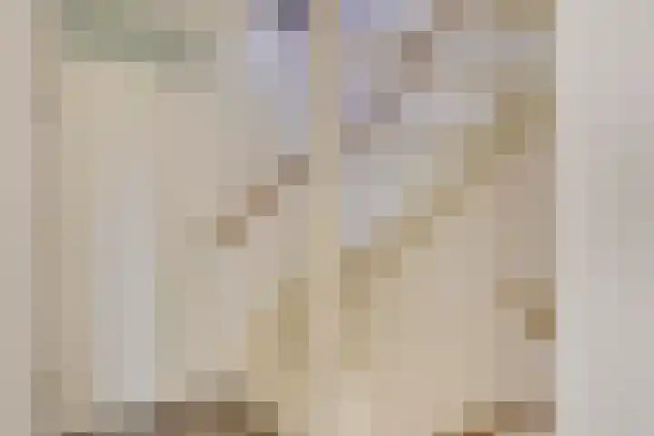 Sterappel 6 Uden thumbnail 21