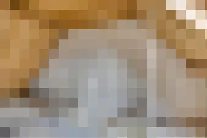 Sterappel 6 Uden thumbnail 22
