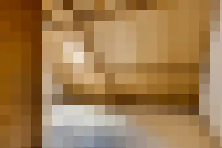 Sterappel 6 Uden thumbnail 23