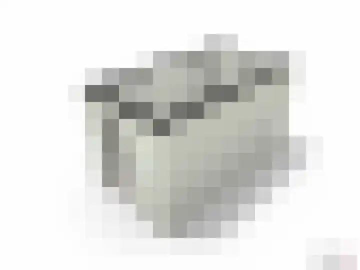 Sterappel 6 Uden thumbnail 31