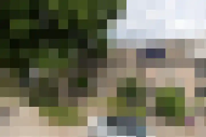 Sterappel 6 Uden thumbnail 5