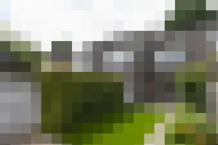 Sterappel 6 Uden thumbnail 7
