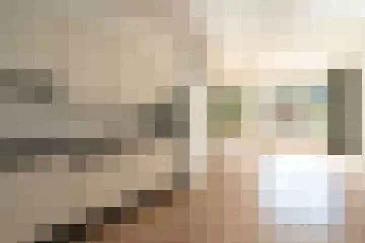 Sterappel 64 Barneveld thumbnail 10