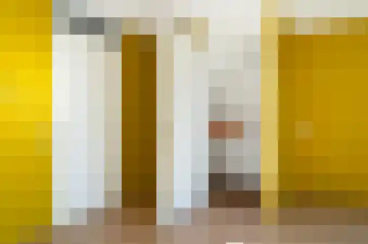 Sterappel 64 Barneveld thumbnail 12