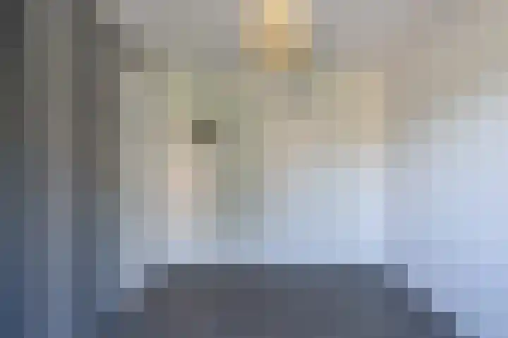 Sterappel 64 Barneveld thumbnail 16