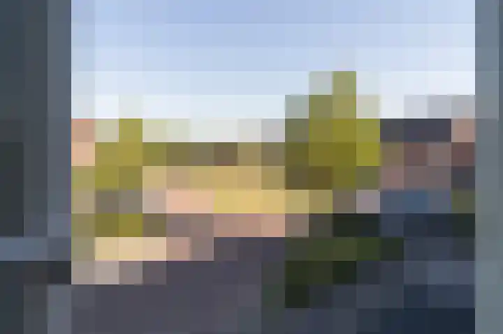 Sterappel 64 Barneveld thumbnail 17